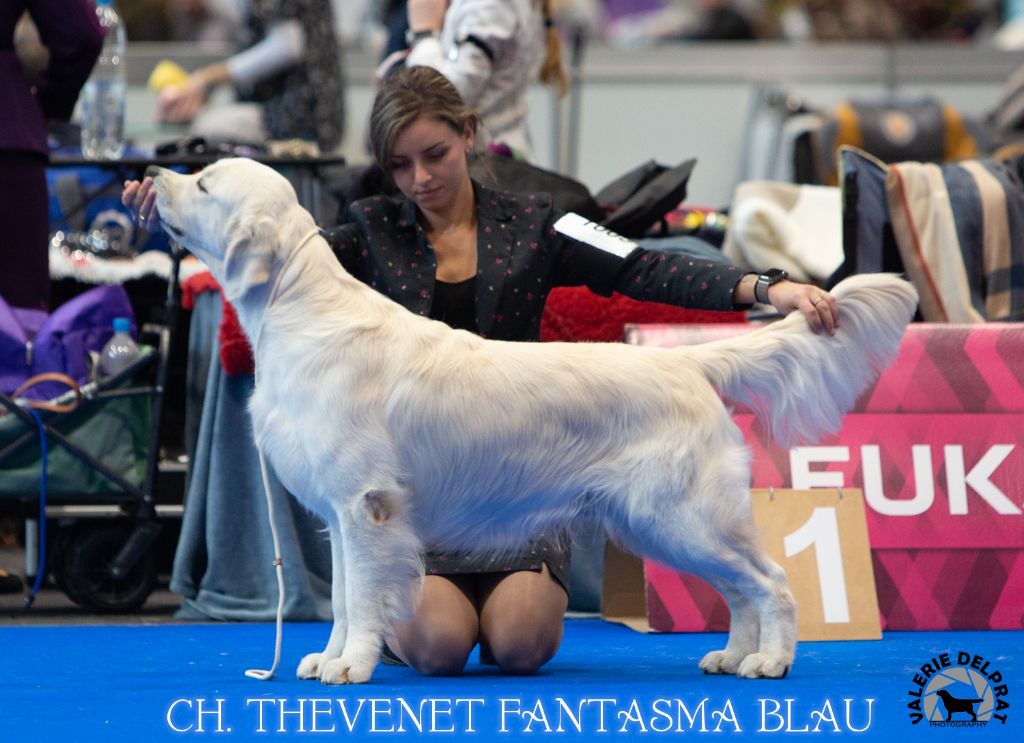 CH. thevenet Fantasma blau