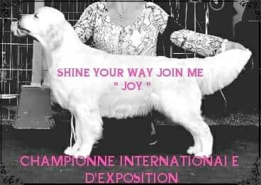 CH. Shine Your Way Join me
